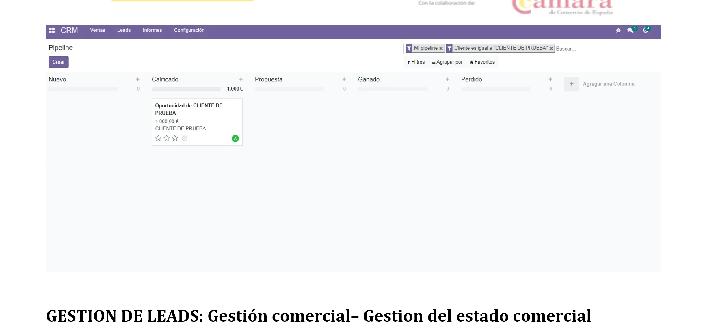 Gestión de clientes - gestión comercial: gestion estado de un lead