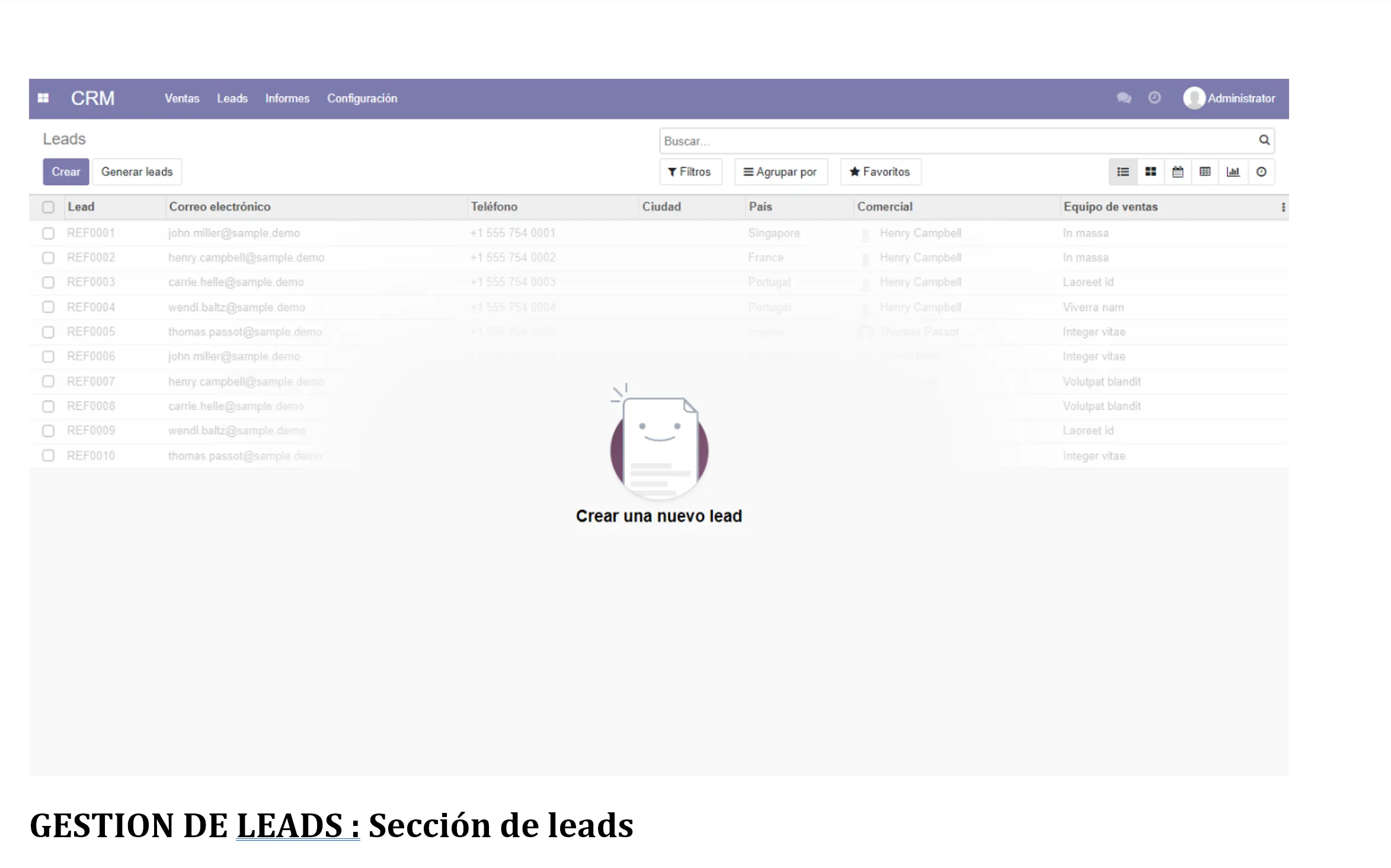 Gestión de clientes - leads