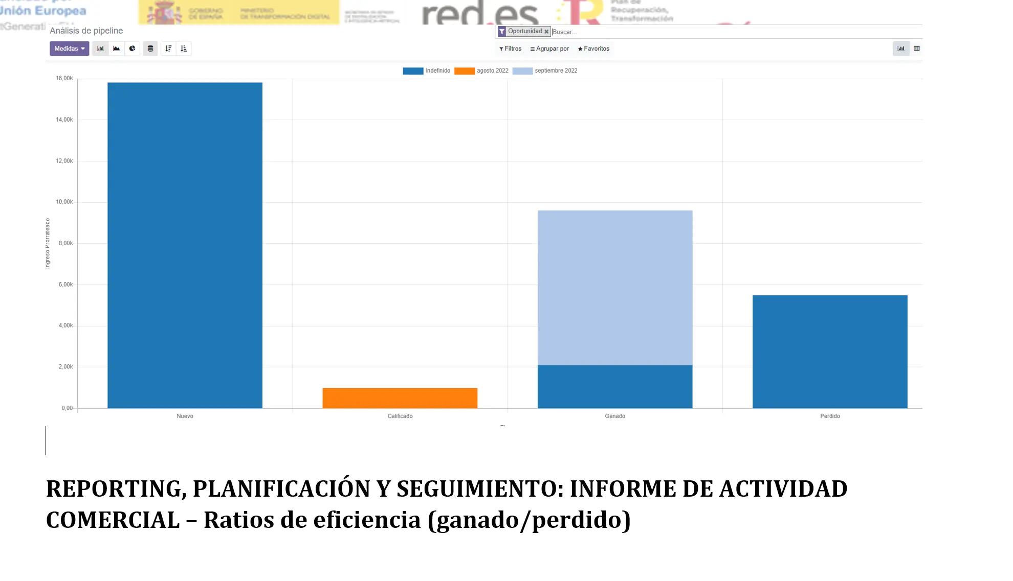 REPORTING, PLANIFICACION Y SEGUIMIENTO  -  informe actividad comercial con ratios de eficiencia  